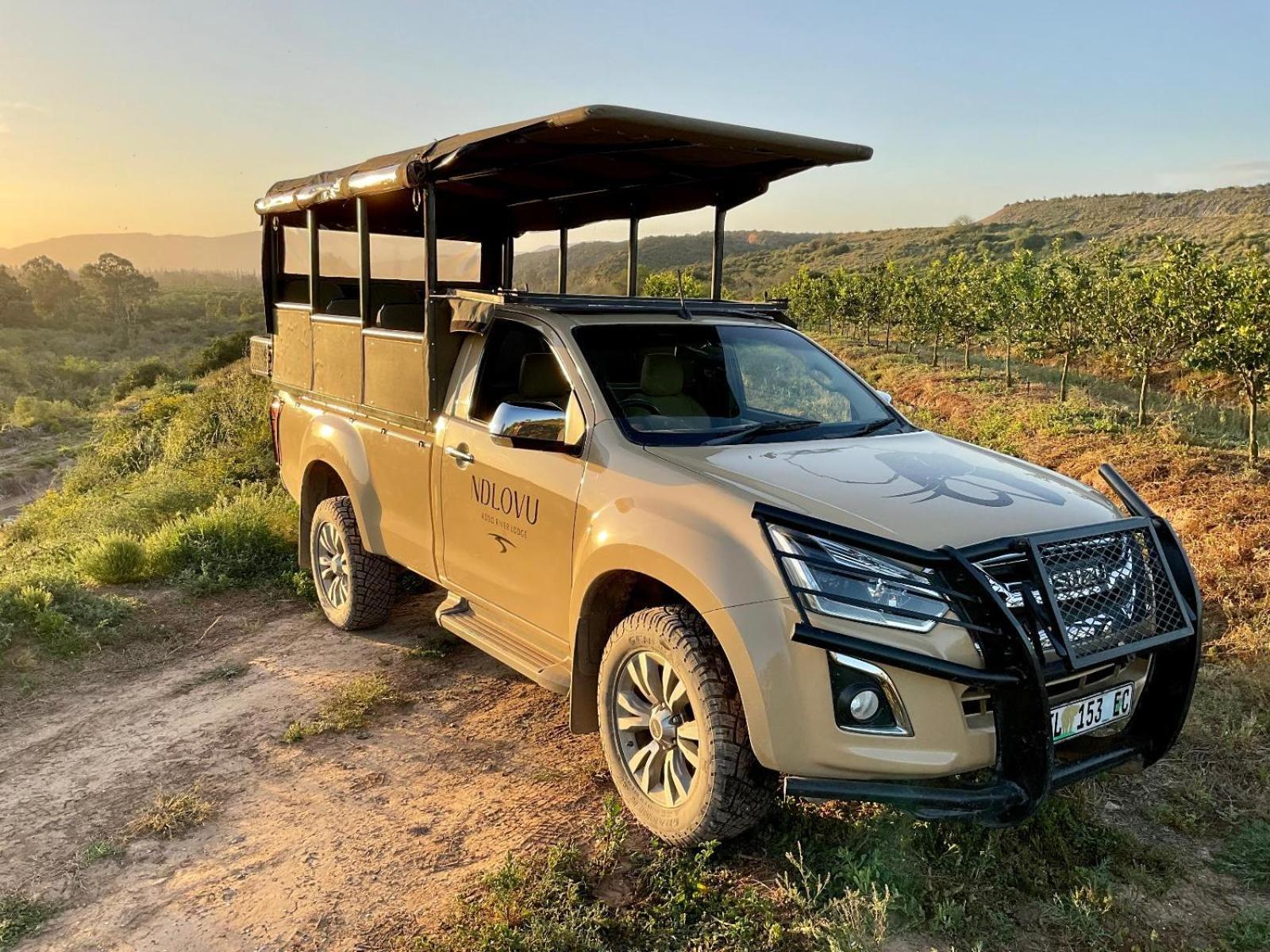 Ndlovu Addo River Lodge Kirkwood Zewnętrze zdjęcie