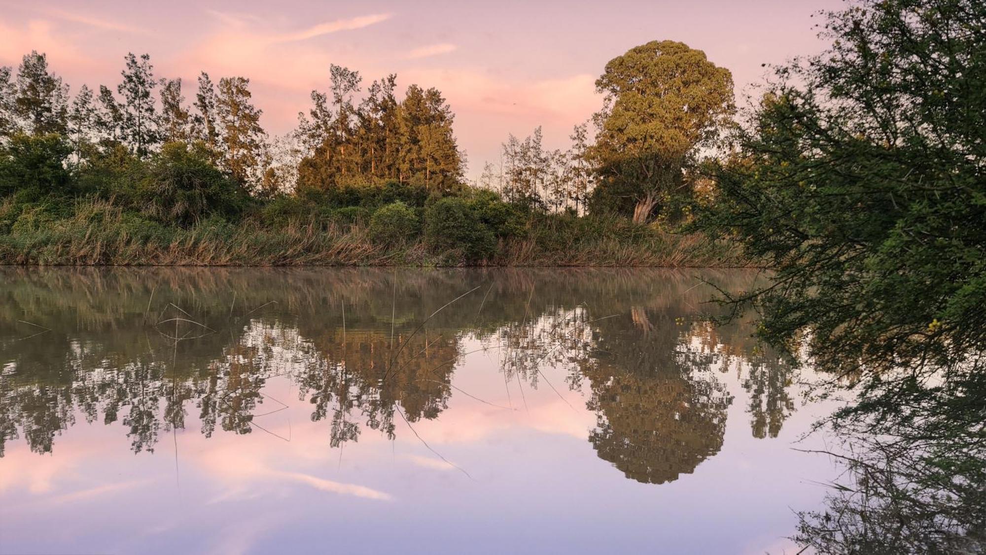 Ndlovu Addo River Lodge Kirkwood Zewnętrze zdjęcie